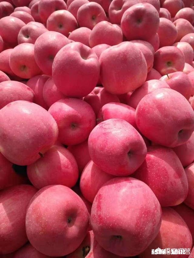 今日头条帮你解决了现实生活中的什么问题吗