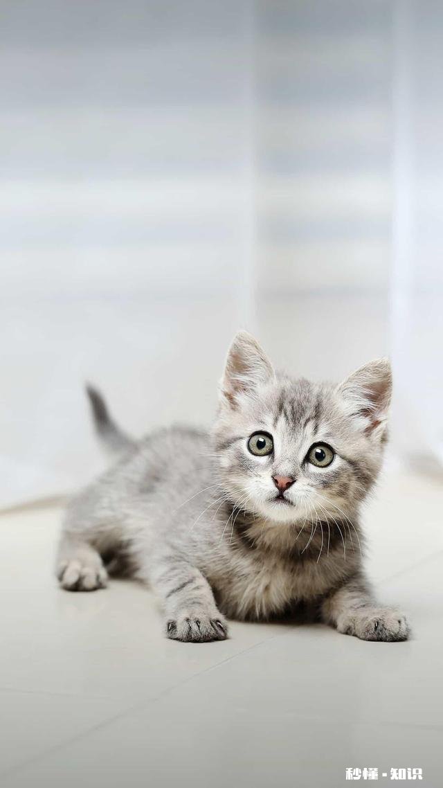 春天上火怎么办喝点什么比较好