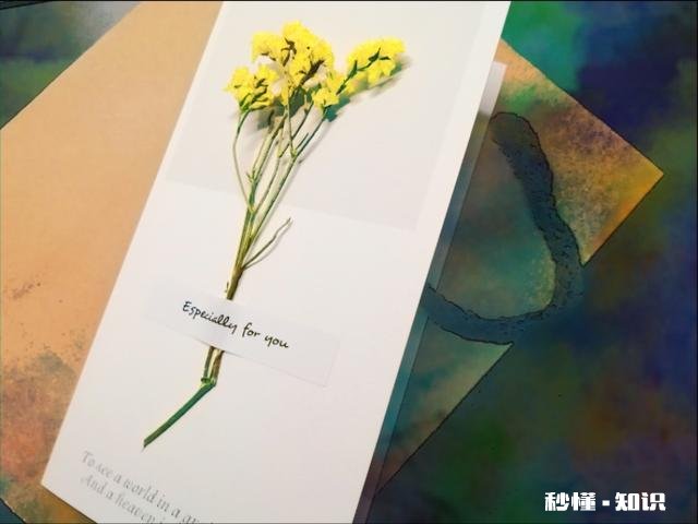 我是专科毕业，是不是将来没有公司愿意要我，该怎么办