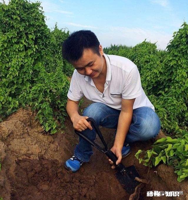 在河南豫北地区做电商,销售什么农产品比较好