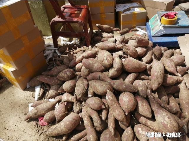 在河南豫北地区做电商,销售什么农产品比较好