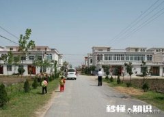 在河南豫北地区做电商，销售什么农产品比较好