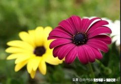 你有因为网恋分手伤心过吗