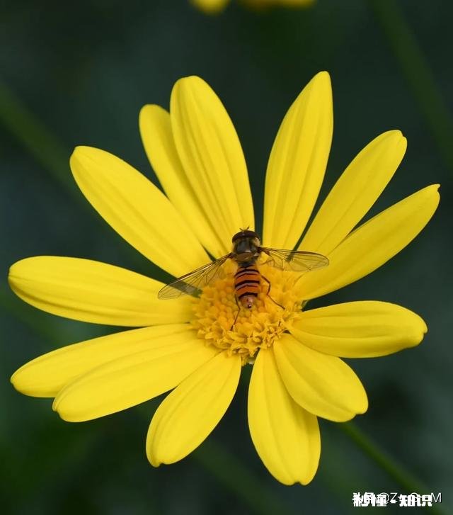 你有因为网恋分手伤心过吗