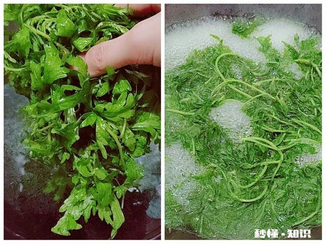 清明时节雨纷纷,最好的营养美食是什么