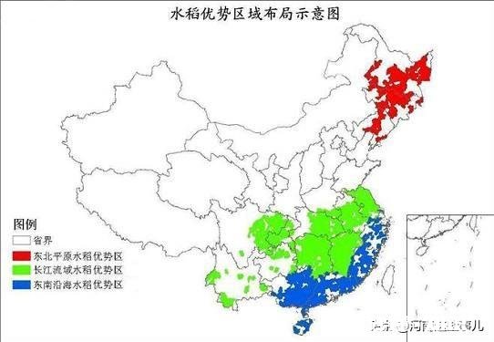 有人说河南以北吃面食，为啥东北却盛产大米东北不是在河南北边吗