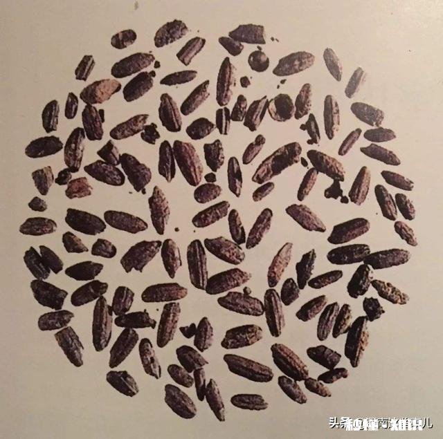 有人说河南以北吃面食，为啥东北却盛产大米东北不是在河南北边吗