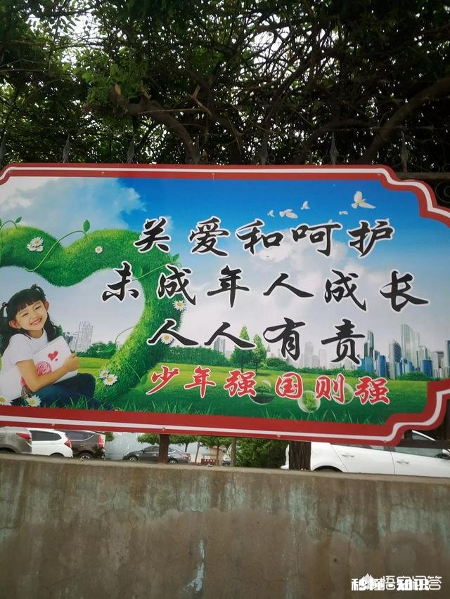 有些夫妻并没有感情、貌合神离,可为了责任和担当,一般选择维持家庭,对此你怎么看