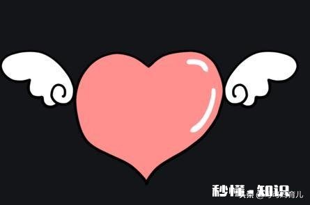 三岁半宝宝重病，继续治疗还是放弃