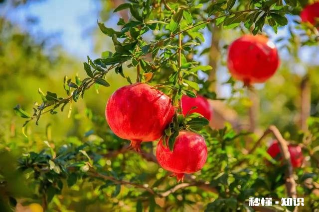 研究生只是上了一个二本学校，是不是就没有出路了啊