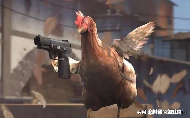 怎么了解csgo的地图