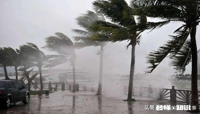 拉尼娜效应会对广东沿岸地区造成什么影响