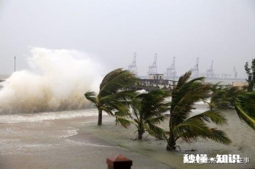 拉尼娜效应会对广东沿岸地区造成什么影响