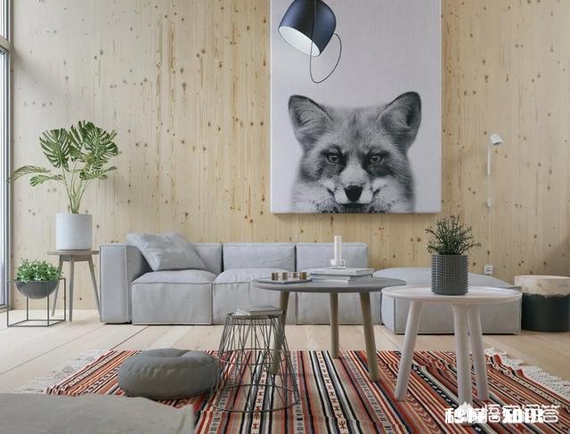 客厅挂画颜色怎么选择