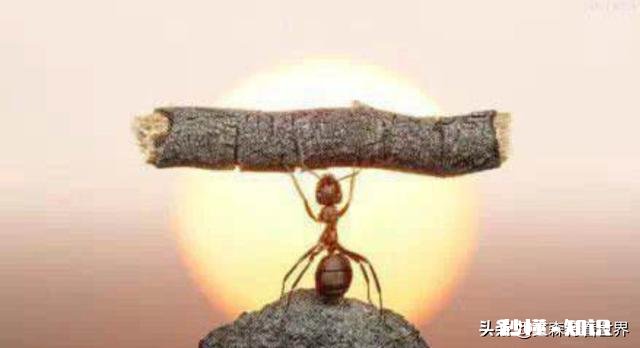 “口红一哥”李佳琪真的仅仅是靠运气好吗