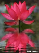 想让孩子在家学画画，大家有好的建议吗