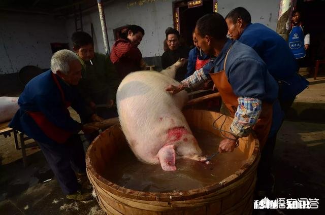 农村过年什么好多习俗都没有了