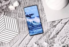 玩游戏的话，iqoo pro和vivo nex3哪台会玩得更爽