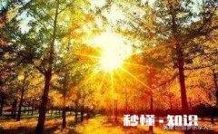 上联：“昔日沉迷网游醉生梦死”求下联是什么