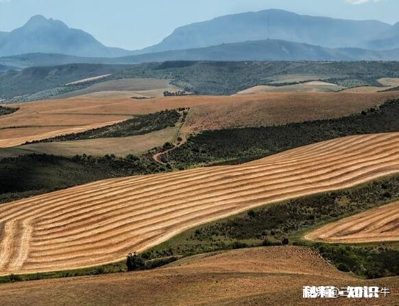 分地是两个户口后来拼一起了，土地确权证下来老人去世了土地咋办