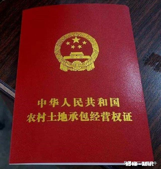 分地是两个户口后来拼一起了，土地确权证下来老人去世了土地咋办