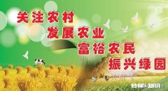 我是三农领域创作者，现在在西安市，怎么发垂直的视频