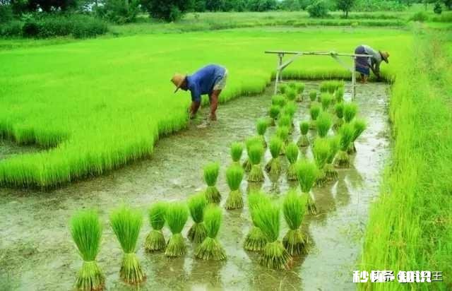 我是三农领域创作者，现在在西安市，怎么发垂直的视频
