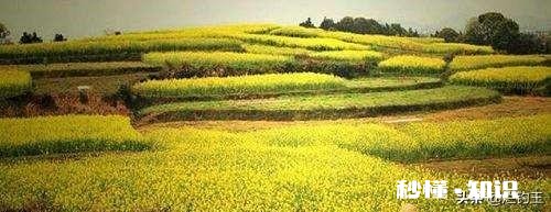 我是三农领域创作者，现在在西安市，怎么发垂直的视频