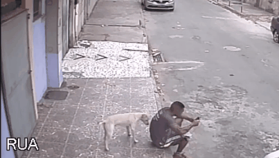 你都私藏了哪些可以哄女朋友的表情包