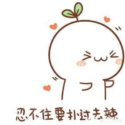 你都私藏了哪些可以哄女朋友的表情包