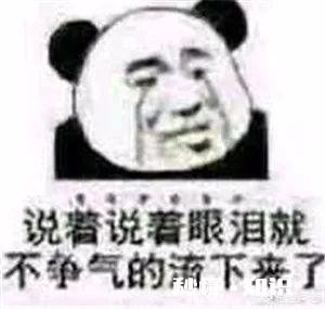 你都私藏了哪些可以哄女朋友的表情包