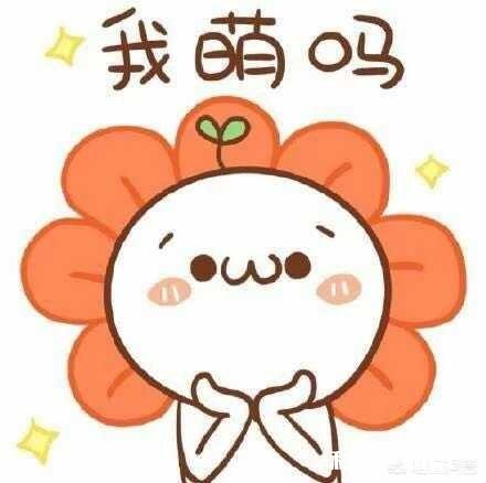 你都私藏了哪些可以哄女朋友的表情包