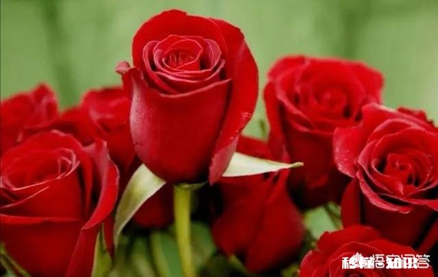 你喜欢的人不喜欢你,你不喜欢的人喜欢你,换成是你,你该怎么做