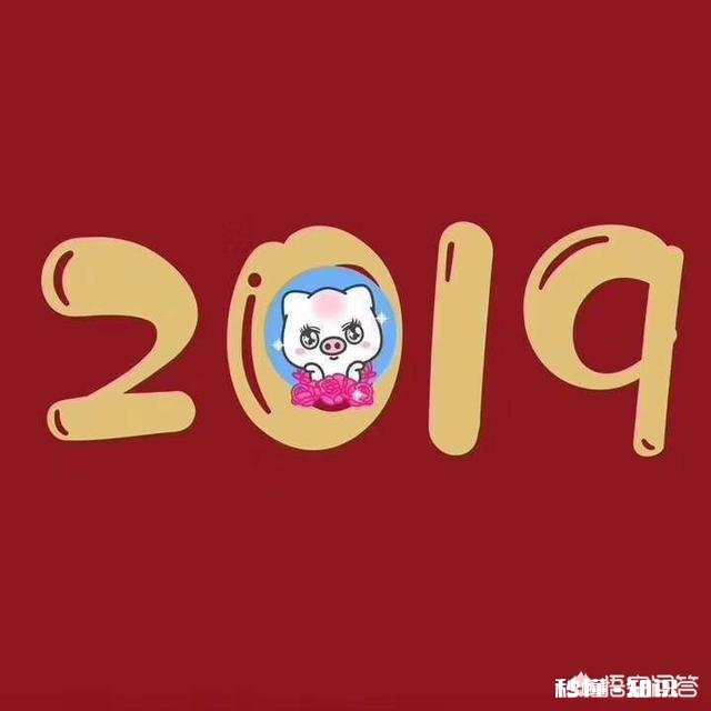 你们的金卡和钻卡都开了多少钱