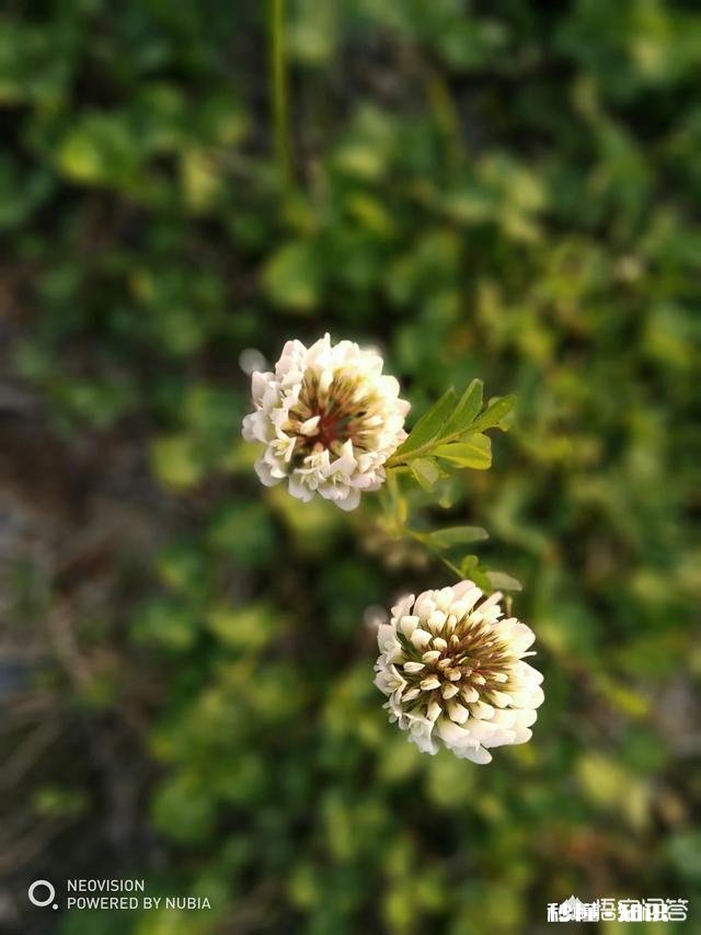 自己原创一句有味道的句子你会写什么在此记录
