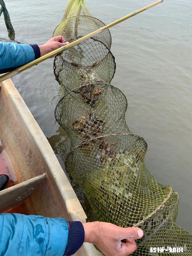 2020农村养殖龙虾怎么样有什么注意事项呢