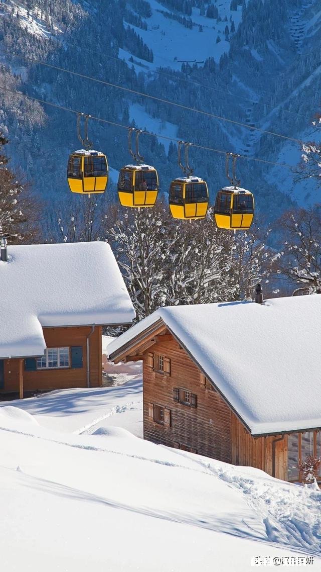 不会追求女孩子谈恋爱怎么办