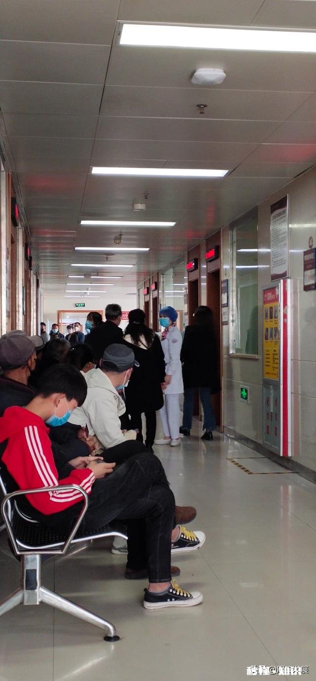 医学哪些专业最热门医学哪些专业就业容易工资高