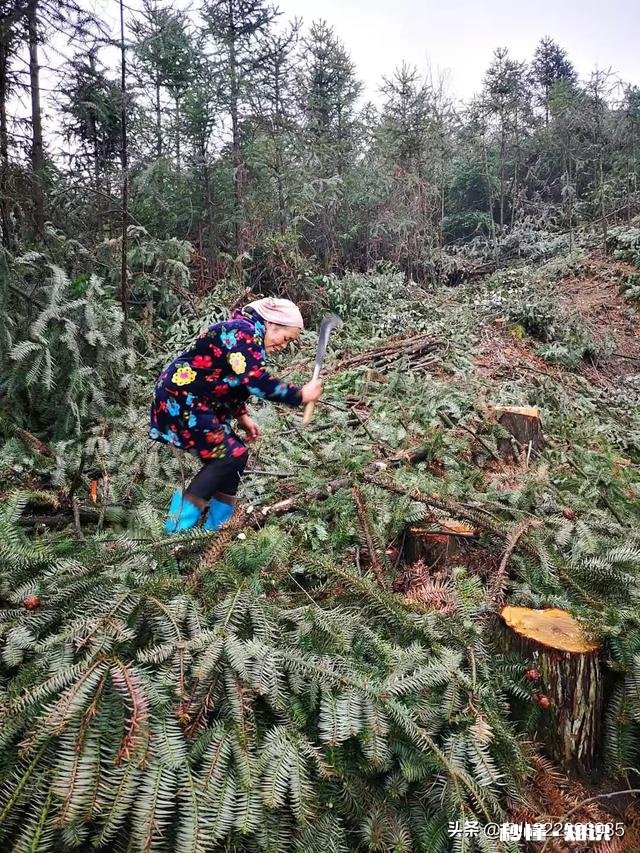 看父母逐渐老去。你最想做的事是什么