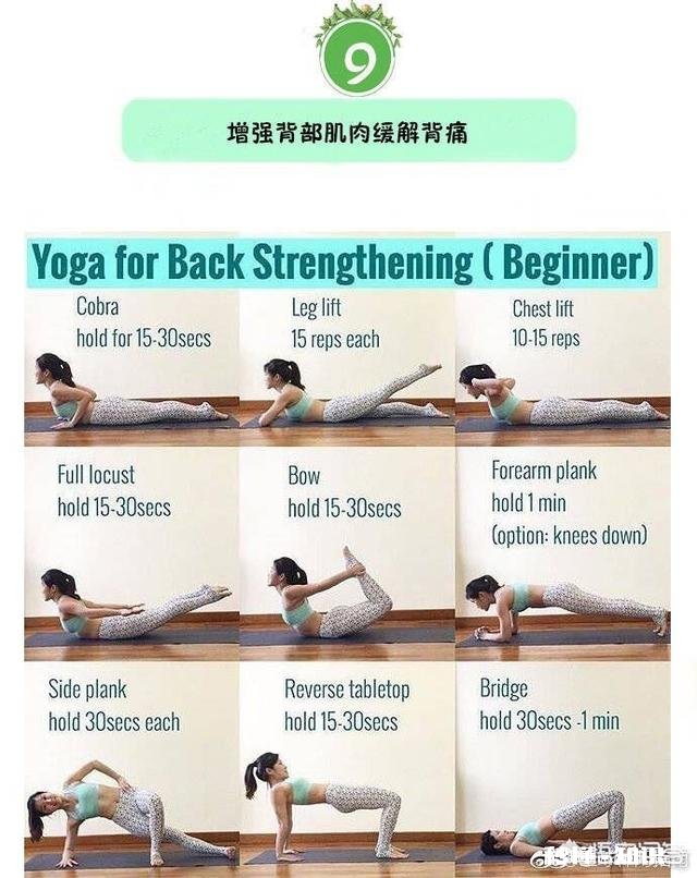 身体严重缺蛋白质，怎么补