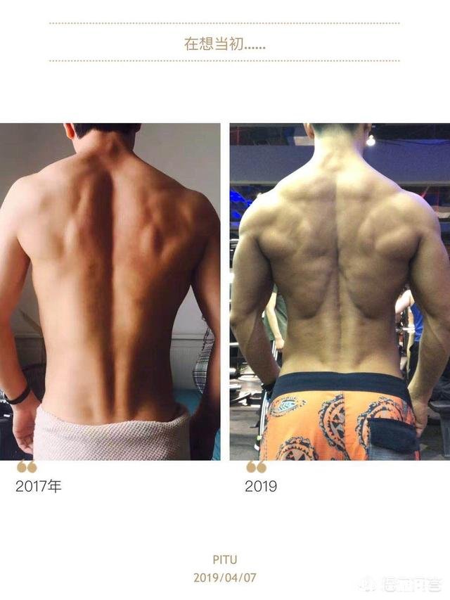 身体严重缺蛋白质，怎么补