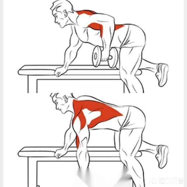 身体严重缺蛋白质，怎么补