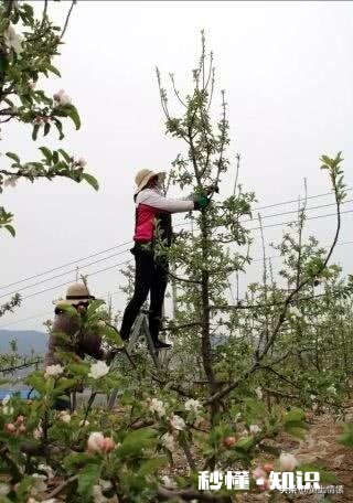 自古农民最辛苦，古今有赞美农民的诗吗或者你能写首赞美农民的诗吗