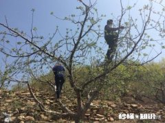 自古农民最辛苦，古今有赞美农民的诗吗或者你能写首赞美农民的诗吗