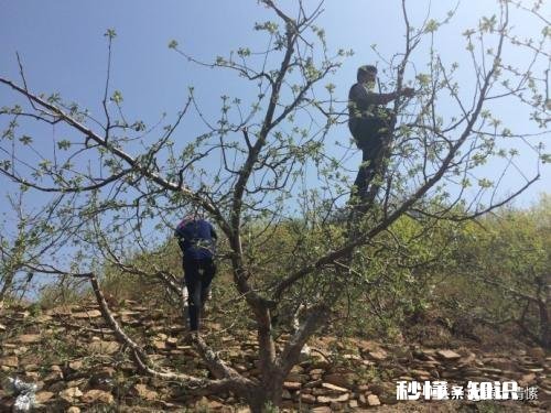 自古农民最辛苦，古今有赞美农民的诗吗或者你能写首赞美农民的诗吗