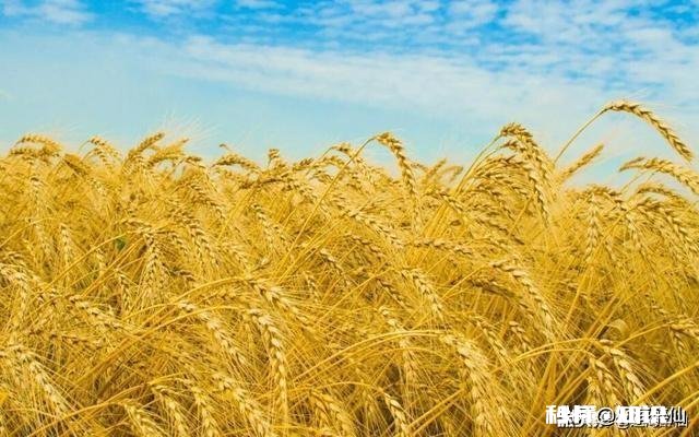 自古农民最辛苦，古今有赞美农民的诗吗或者你能写首赞美农民的诗吗