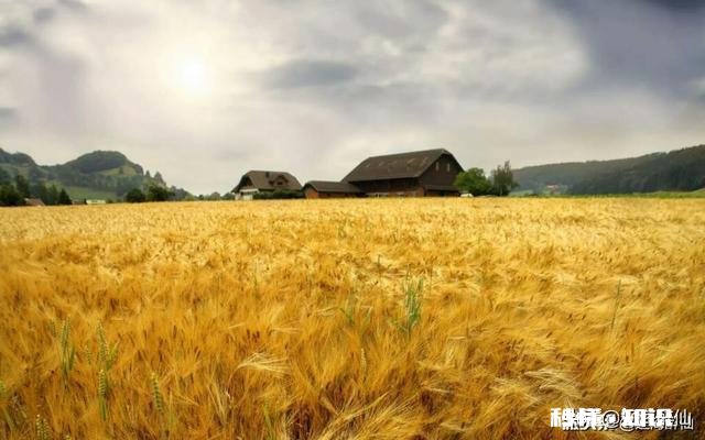 自古农民最辛苦，古今有赞美农民的诗吗或者你能写首赞美农民的诗吗