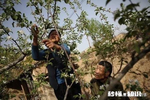 自古农民最辛苦，古今有赞美农民的诗吗或者你能写首赞美农民的诗吗