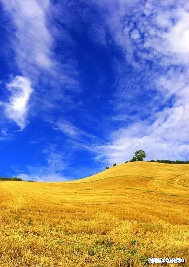 自古农民最辛苦，古今有赞美农民的诗吗或者你能写首赞美农民的诗吗