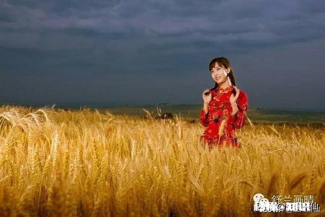 自古农民最辛苦，古今有赞美农民的诗吗或者你能写首赞美农民的诗吗